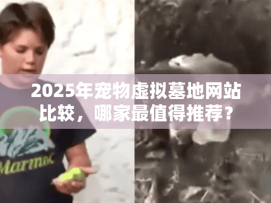 2025年宠物虚拟墓地网站比较，哪家最值得推荐？