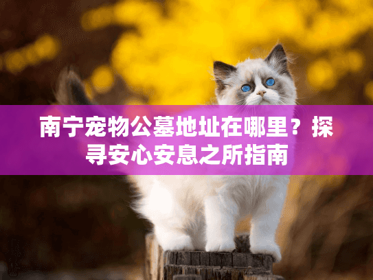 南宁宠物公墓地址在哪里?探寻安心安息之所指南 南宁宠物公墓地址在哪里?探寻安心安息之所指南