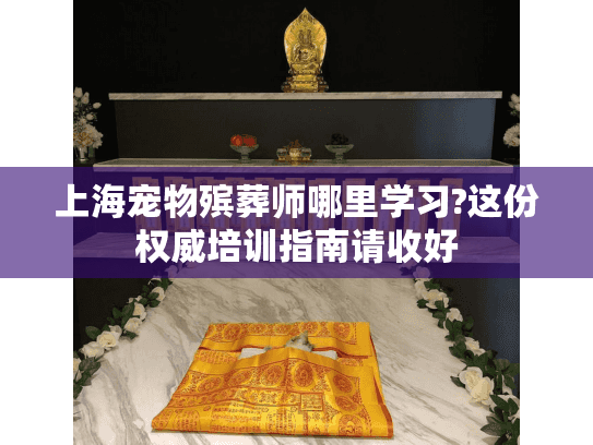上海宠物殡葬师哪里学习?这份权威培训指南请收好