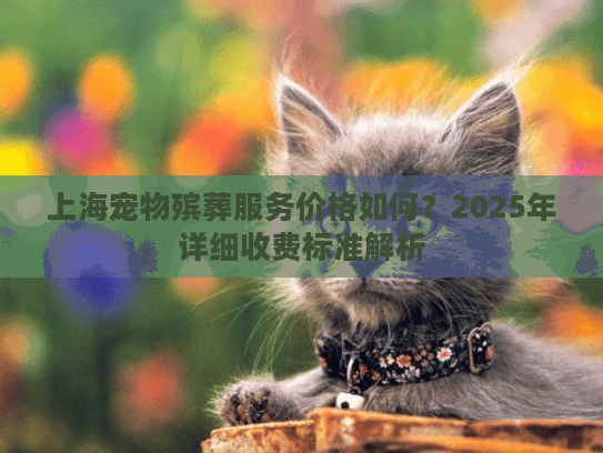 上海宠物殡葬服务价格如何？2025年详细收费标准解析