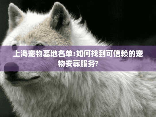 上海宠物墓地名单:如何找到可信赖的宠物安葬服务?