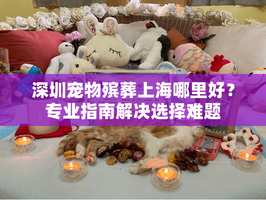 深圳宠物殡葬上海哪里好？专业指南解决选择难题