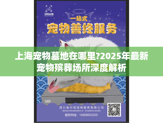 上海宠物墓地在哪里?2025年最新宠物殡葬场所深度解析