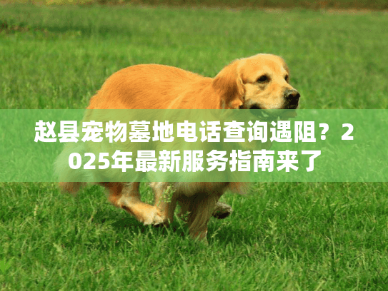 赵县宠物墓地电话查询遇阻？2025年最新服务指南来了