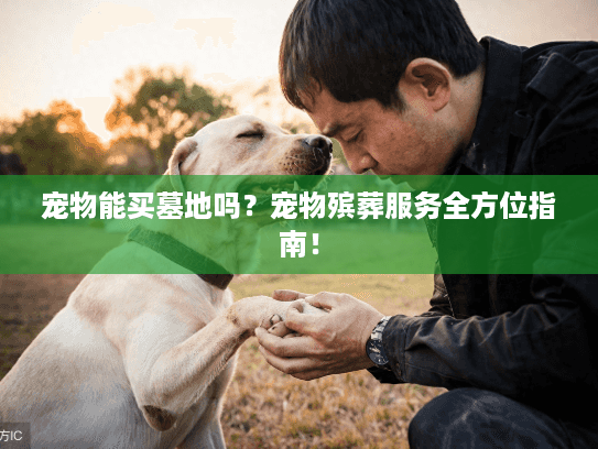 宠物能买墓地吗？宠物殡葬服务全方位指南！