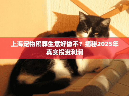 上海宠物殡葬生意好做不？揭秘2025年真实投资利润
