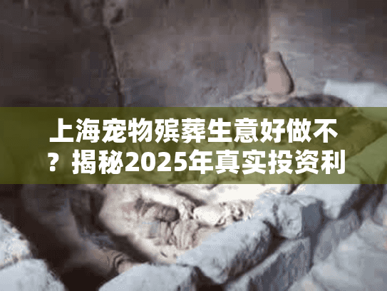 上海宠物殡葬生意好做不？揭秘2025年真实投资利润