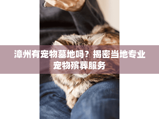 漳州有宠物墓地吗？揭密当地专业宠物殡葬服务