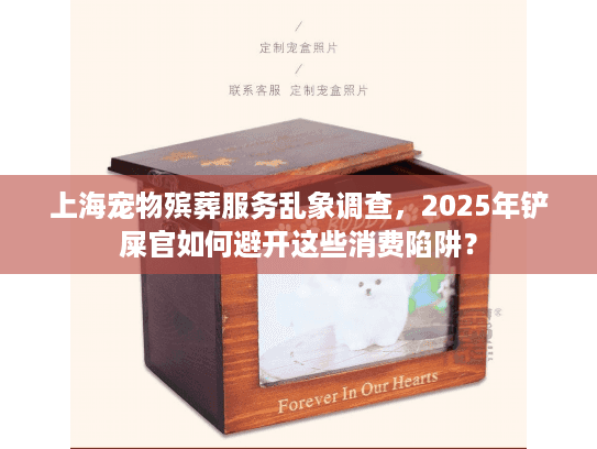 上海宠物殡葬服务乱象调查，2025年铲屎官如何避开这些消费陷阱？