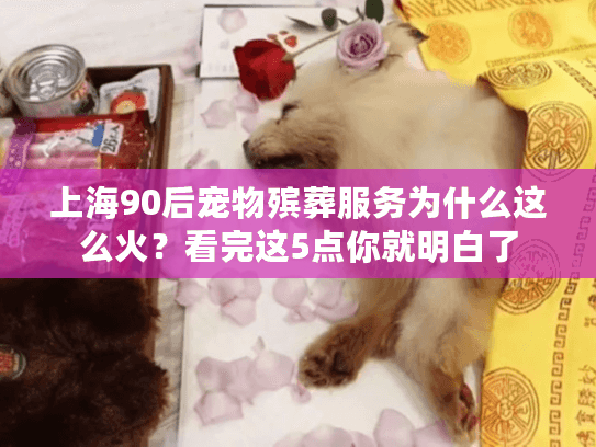 上海90后宠物殡葬服务为什么这么火？看完这5点你就明白了
