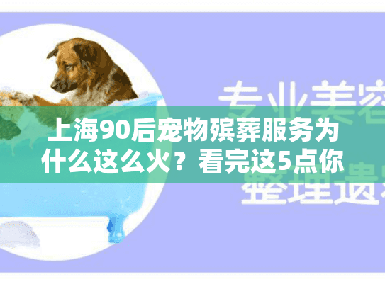 上海90后宠物殡葬服务为什么这么火？看完这5点你就明白了