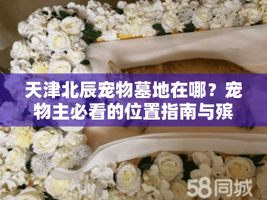 天津北辰宠物墓地在哪？宠物主必看的位置指南与殡葬服务全解析