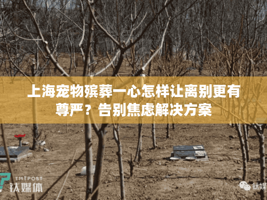 上海宠物殡葬一心怎样让离别更有尊严？告别焦虑解决方案