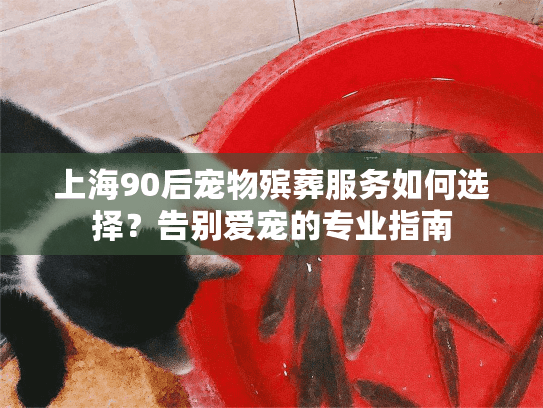 上海90后宠物殡葬服务如何选择？告别爱宠的专业指南
