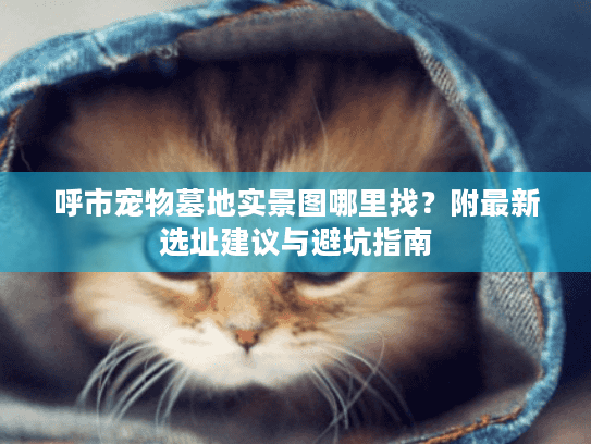 呼市宠物墓地实景图哪里找？附最新选址建议与避坑指南
