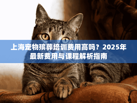 上海宠物殡葬培训费用高吗？2025年最新费用与课程解析指南