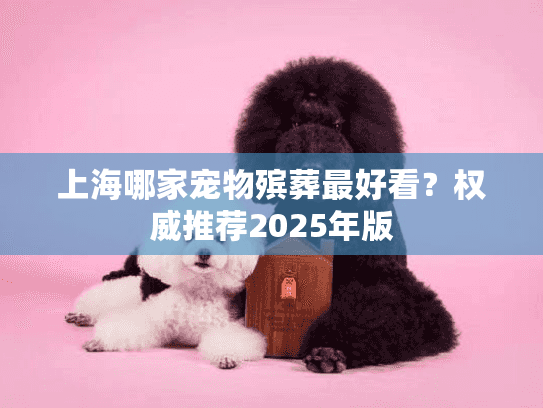 上海哪家宠物殡葬最好看？权威推荐2025年版