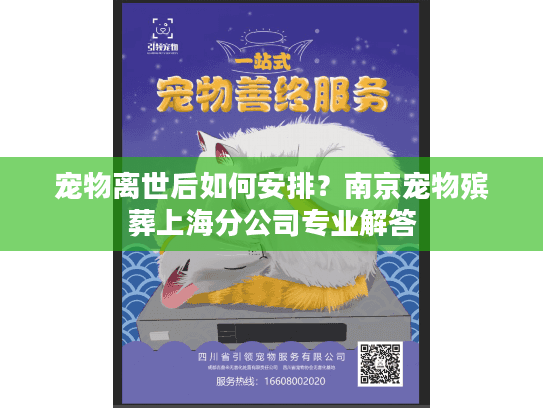 宠物离世后如何安排？南京宠物殡葬上海分公司专业解答