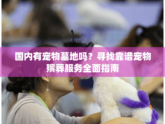 国内有宠物墓地吗？寻找靠谱宠物殡葬服务全面指南