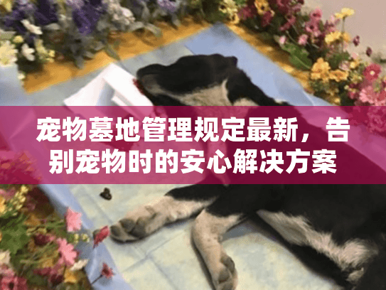 宠物墓地管理规定最新，告别宠物时的安心解决方案