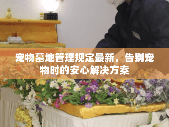 宠物墓地管理规定最新，告别宠物时的安心解决方案