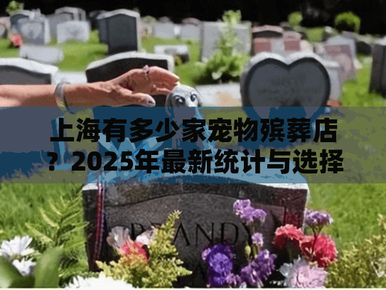 上海有多少家宠物殡葬店？2025年最新统计与选择指南