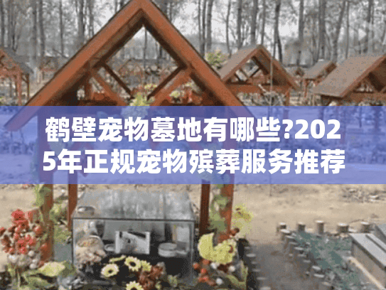 鹤壁宠物墓地有哪些?2025年正规宠物殡葬服务推荐