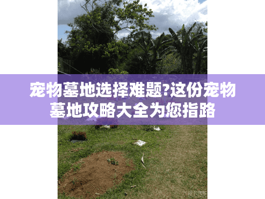 宠物墓地选择难题?这份宠物墓地攻略大全为您指路