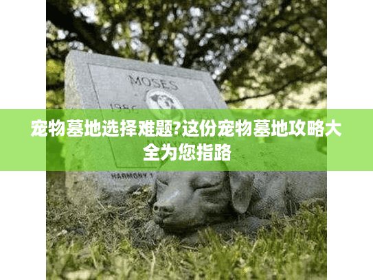 宠物墓地选择难题?这份宠物墓地攻略大全为您指路
