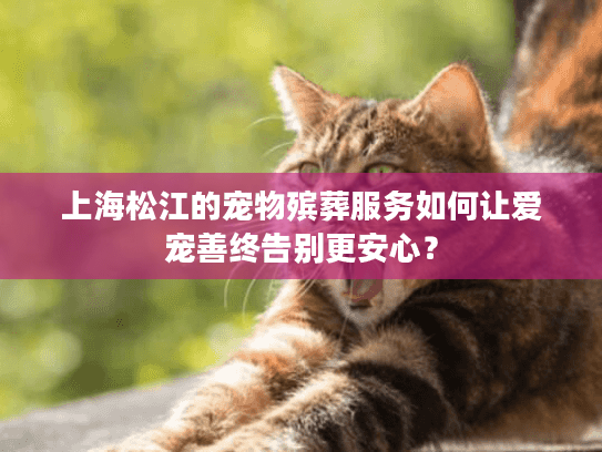 上海松江的宠物殡葬服务如何让爱宠善终告别更安心？