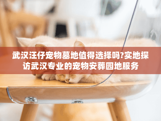 武汉汪仔宠物墓地值得选择吗?实地探访武汉专业的宠物安葬园地服务