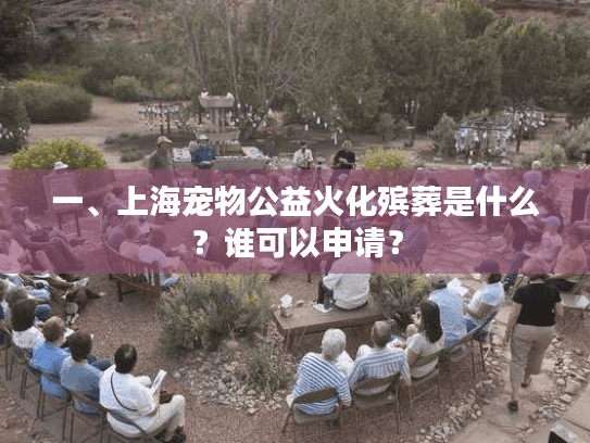 一、上海宠物公益火化殡葬是什么？谁可以申请？