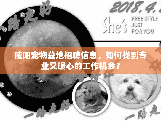 咸阳宠物墓地招聘信息，如何找到专业又暖心的工作机会？