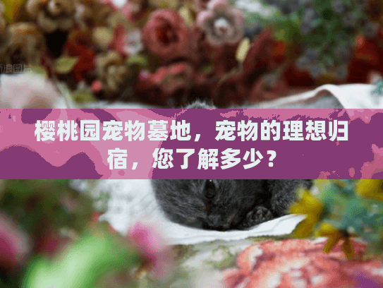 樱桃园宠物墓地，宠物的理想归宿，您了解多少？