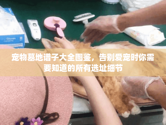 宠物墓地谱子大全图鉴，告别爱宠时你需要知道的所有选址细节