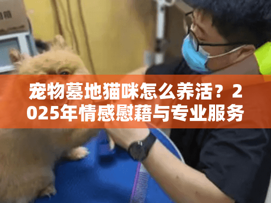 宠物墓地猫咪怎么养活？2025年情感慰藉与专业服务完全指南