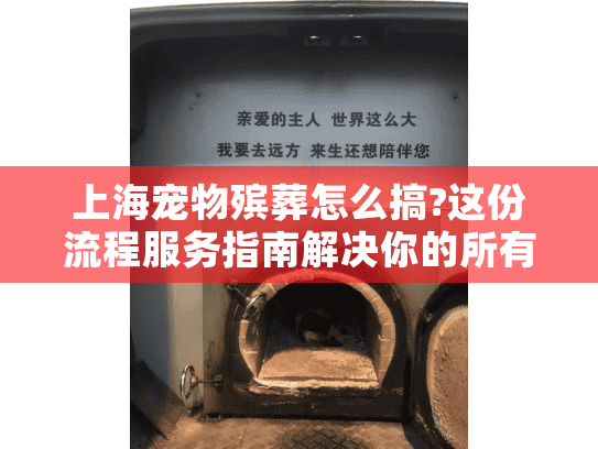 上海宠物殡葬怎么搞?这份流程服务指南解决你的所有困惑