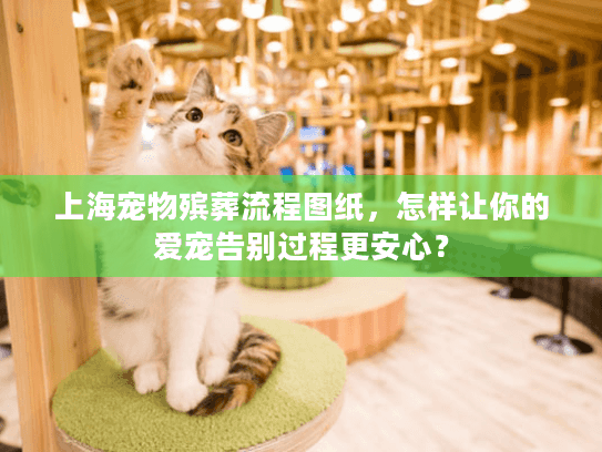 上海宠物殡葬流程图纸，怎样让你的爱宠告别过程更安心？