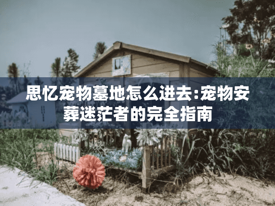 思忆宠物墓地怎么进去:宠物安葬迷茫者的完全指南