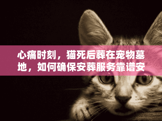 心痛时刻，猫死后葬在宠物墓地，如何确保安葬服务靠谱安心？