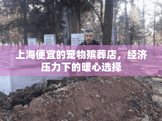 上海便宜的宠物殡葬店，经济压力下的暖心选择