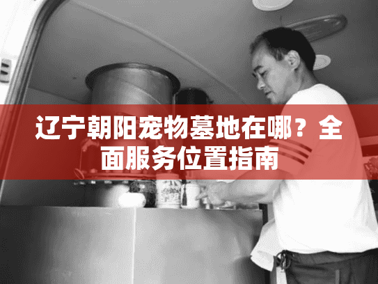 辽宁朝阳宠物墓地在哪？全面服务位置指南