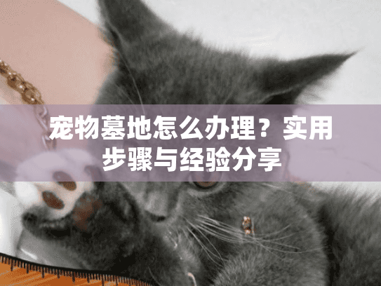 宠物墓地怎么办理？实用步骤与经验分享
