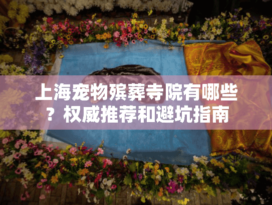 上海宠物殡葬寺院有哪些？权威推荐和避坑指南