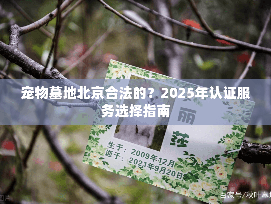 宠物墓地北京合法的？2025年认证服务选择指南