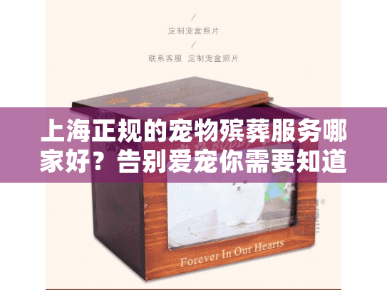 上海正规的宠物殡葬服务哪家好？告别爱宠你需要知道这些