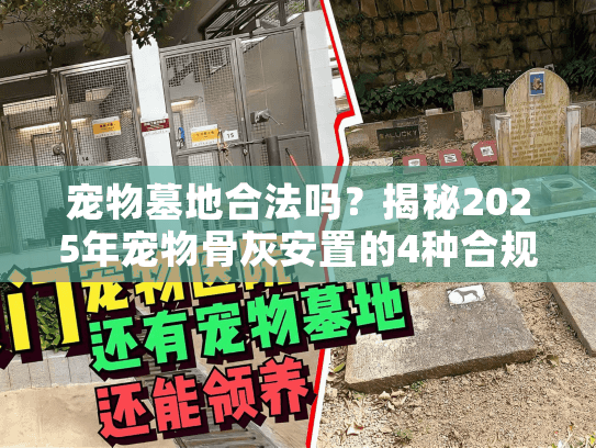 宠物墓地合法吗？揭秘2025年宠物骨灰安置的4种合规方式