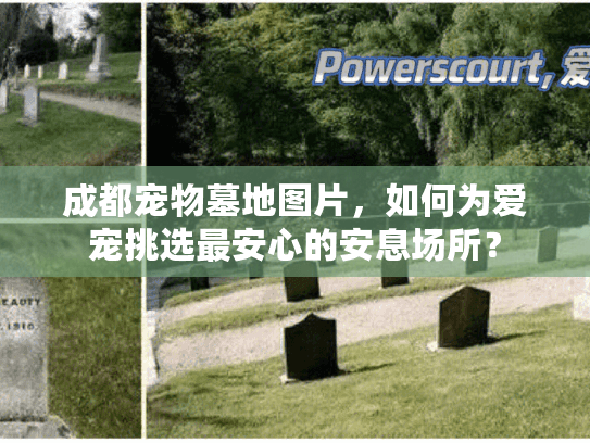 成都宠物墓地图片，如何为爱宠挑选最安心的安息场所？