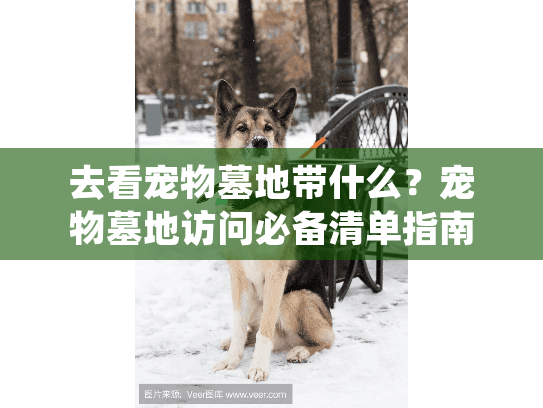 去看宠物墓地带什么？宠物墓地访问必备清单指南
