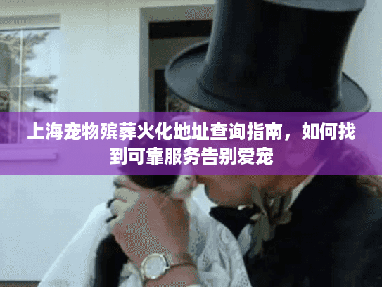 上海宠物殡葬火化地址查询指南，如何找到可靠服务告别爱宠